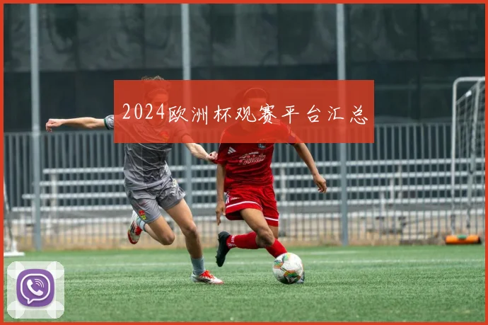 2024欧洲杯观赛平台汇总