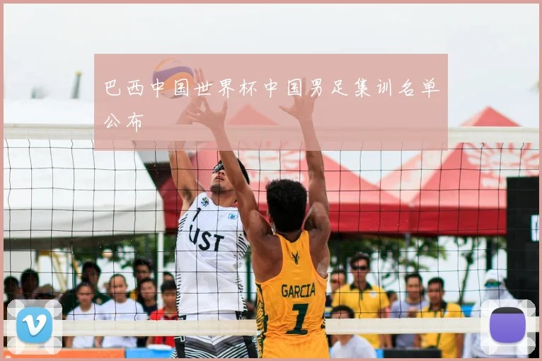 巴西中国世界杯中国男足集训名单公布