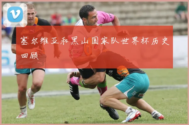 塞尔维亚和黑山国家队世界杯历史回顾