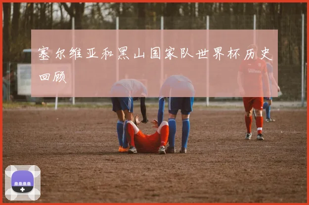 塞尔维亚和黑山国家队世界杯历史回顾