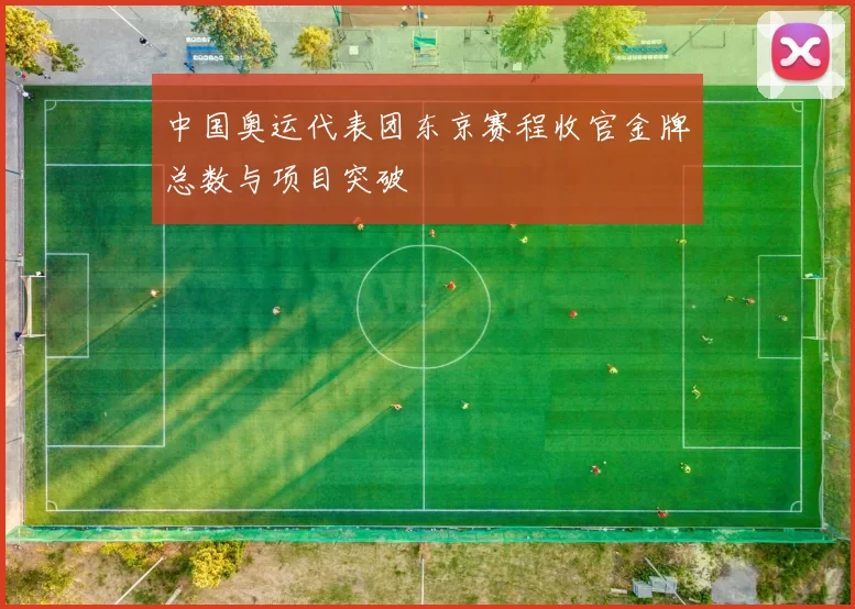 中国奥运代表团东京赛程收官金牌总数与项目突破
