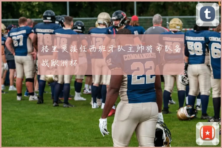 格里莫接任西班牙队主帅将率队备战欧洲杯